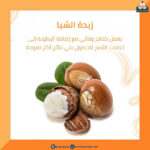 ⁦كانتو بخاخ درع حرارة واقي الحرارة 151 مل⁩ - الصورة ⁦3⁩