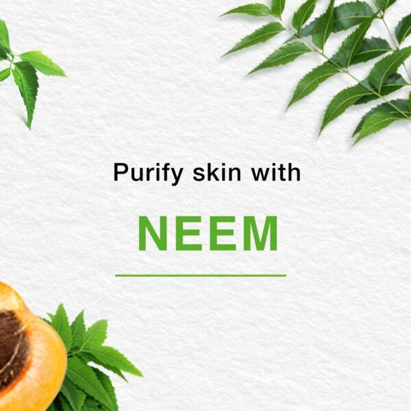 Himalaya Purifying Neem Scrub for Skin - 150 ml - Image 2
