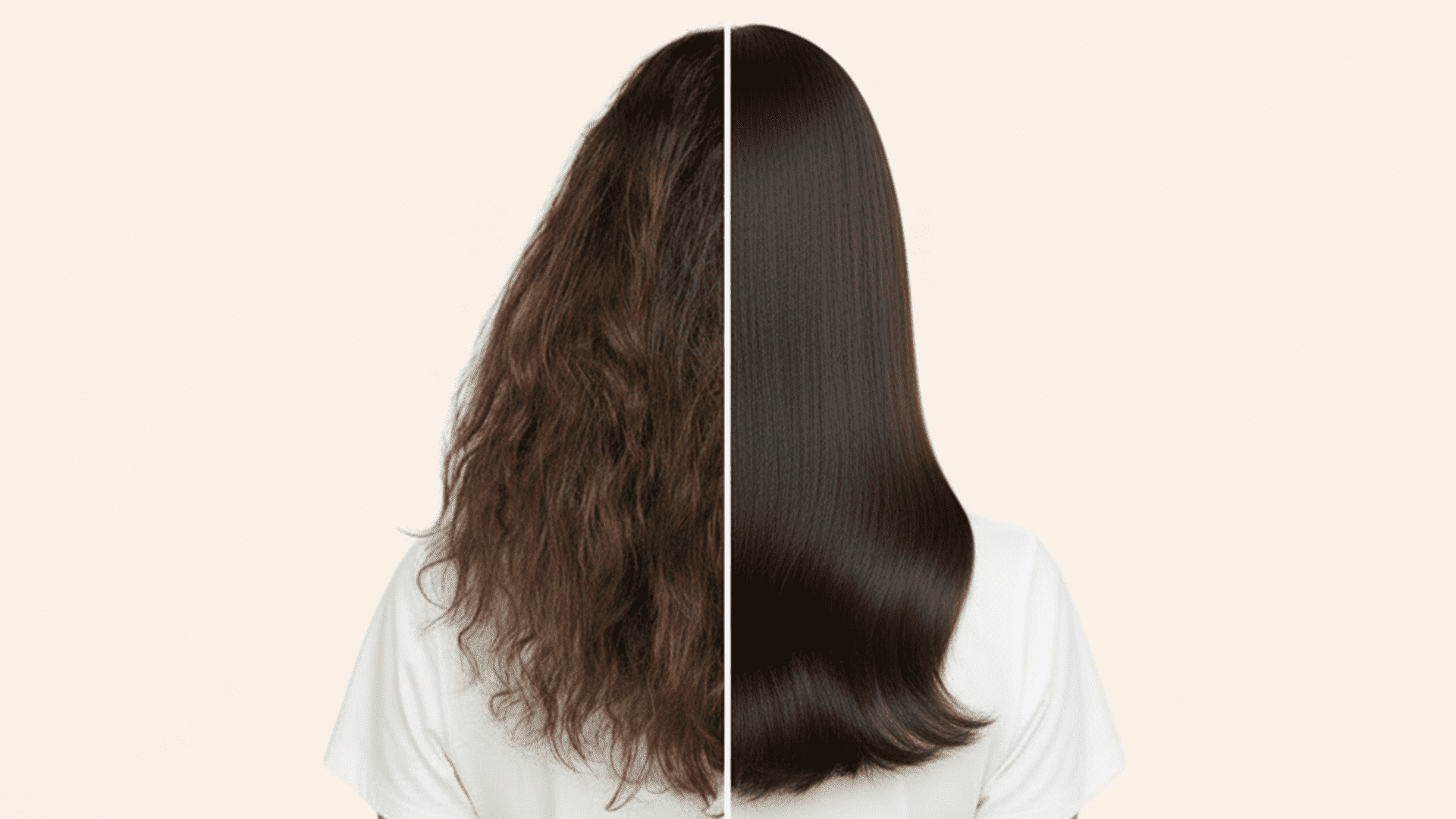 Dry Hair Shampoo: The Complete Guide to Choosing the Best Shampoo and Deeply Hydrating Your Hair