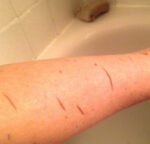 ⁦ليفة كورية لتقشير الجسم⁩ - الصورة ⁦3⁩