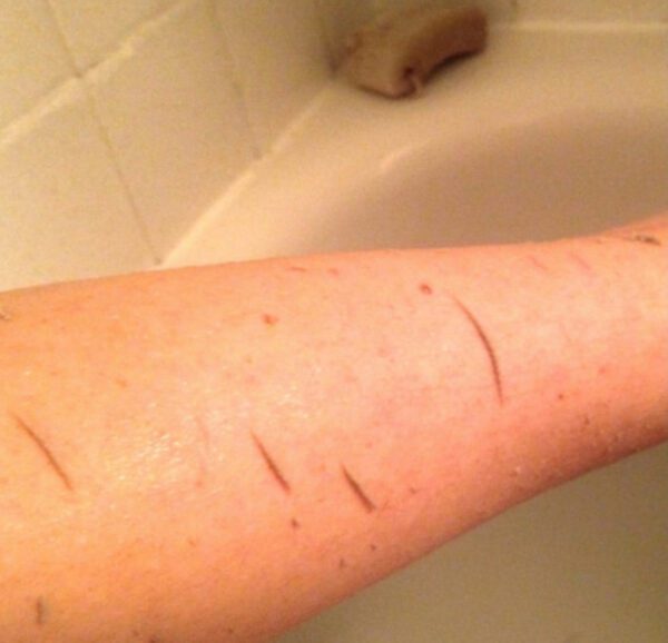 ⁦ليفة كورية لتقشير الجسم⁩ - الصورة ⁦3⁩